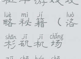 洛杉矶机场租车游戏攻略秘籍(洛杉矶机场租车还车地点)