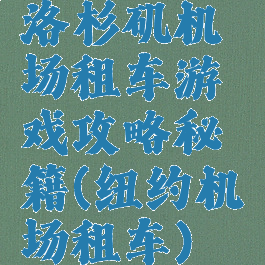 洛杉矶机场租车游戏攻略秘籍(纽约机场租车)