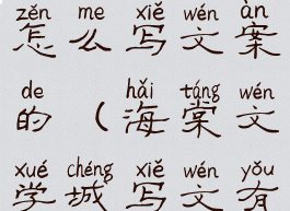 海棠文学城怎么写文案的(海棠文学城写文有风险吗)