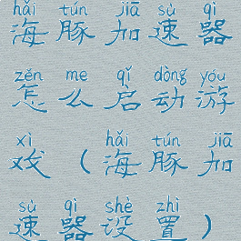 海豚加速器怎么启动游戏(海豚加速器设置)