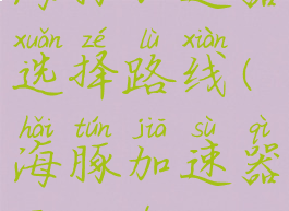 海豚加速器选择路线(海豚加速器干嘛的)