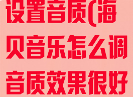 海贝音乐怎么设置音质(海贝音乐怎么调音质效果很好)