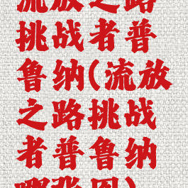 流放之路挑战者普鲁纳(流放之路挑战者普鲁纳哪张图)