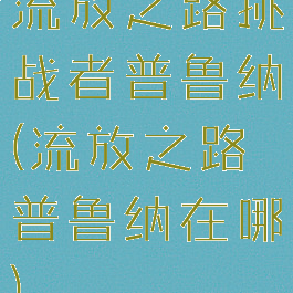 流放之路挑战者普鲁纳(流放之路普鲁纳在哪)