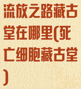 流放之路藏古堂在哪里(死亡细胞藏古堂)