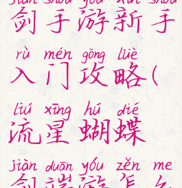 流星蝴蝶剑手游新手入门攻略(流星蝴蝶剑端游怎么玩)