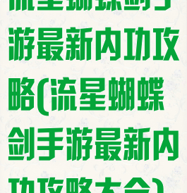 流星蝴蝶剑手游最新内功攻略(流星蝴蝶剑手游最新内功攻略大全)