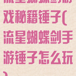 流星蝴蝶剑游戏秘籍锤子(流星蝴蝶剑手游锤子怎么玩)