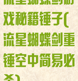 流星蝴蝶剑游戏秘籍锤子(流星蝴蝶剑重锤空中简易必杀)