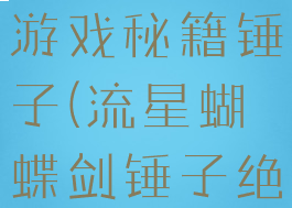 流星蝴蝶剑游戏秘籍锤子(流星蝴蝶剑锤子绝招)
