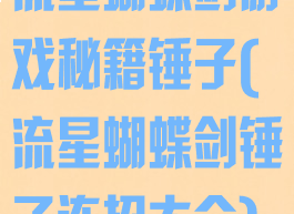 流星蝴蝶剑游戏秘籍锤子(流星蝴蝶剑锤子连招大全)