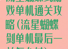 流星蝴蝶剑游戏单机通关攻略(流星蝴蝶剑单机最后一关怎么过)