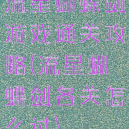 流星蝴蝶剑游戏通关攻略(流星蝴蝶剑各关怎么过)