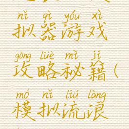 流浪汉模拟器游戏攻略秘籍(模拟流浪汉怎么玩)