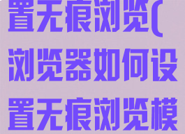 浏览器如何设置无痕浏览(浏览器如何设置无痕浏览模式)