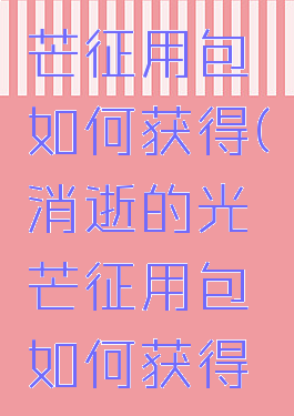 消逝的光芒征用包如何获得(消逝的光芒征用包如何获得视频)
