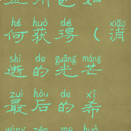 消逝的光芒征用包如何获得(消逝的光芒最后的希望怎么获得)