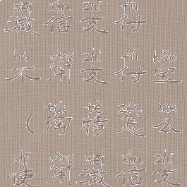 淘特怎么用微信支付不用支付宝(淘特怎么使用微信支付方式)