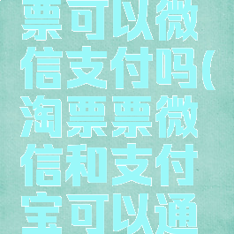 淘票票买票可以微信支付吗(淘票票微信和支付宝可以通用吗?)