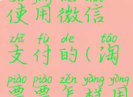 淘票票怎么使用微信支付的(淘票票怎样用微信支付)