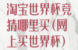 淘宝世界杯竞猜哪里买(网上买世界杯)