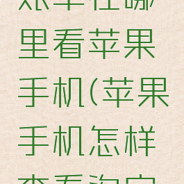 淘宝人生账单在哪里看苹果手机(苹果手机怎样查看淘宝人生账单)