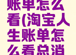 淘宝人生账单怎么看(淘宝人生账单怎么看总消费)