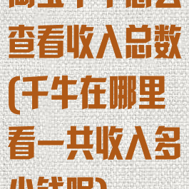 淘宝千牛怎么查看收入总数(千牛在哪里看一共收入多少钱呢)