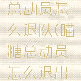 淘宝喵糖总动员怎么退队(喵糖总动员怎么退出比赛)