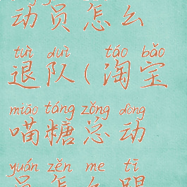 淘宝喵糖总动员怎么退队(淘宝喵糖总动员怎么踢人)