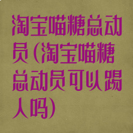 淘宝喵糖总动员(淘宝喵糖总动员可以踢人吗)