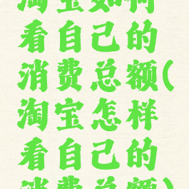 淘宝如何看自己的消费总额(淘宝怎样看自己的消费总额)