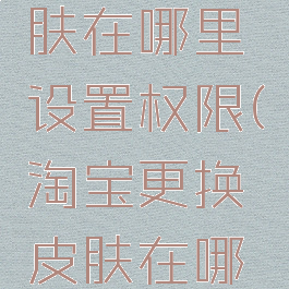 淘宝换皮肤在哪里设置权限(淘宝更换皮肤在哪里)