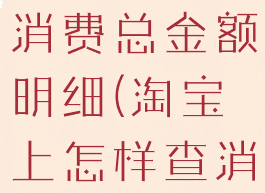 淘宝怎么查消费总金额明细(淘宝上怎样查消费总额)