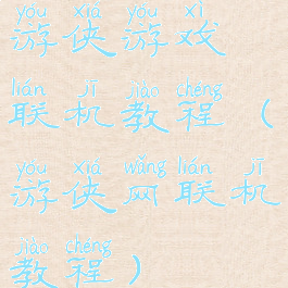 游侠游戏联机教程(游侠网联机教程)