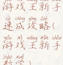 游戏王新手速成攻略(游戏王新手教学)