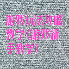 游戏玩法攻略教学(游戏新手教学)