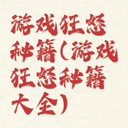 游戏狂怒秘籍(游戏狂怒秘籍大全)