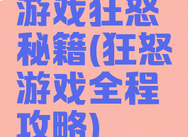 游戏狂怒秘籍(狂怒游戏全程攻略)