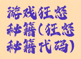 游戏狂怒秘籍(狂怒秘籍代码)