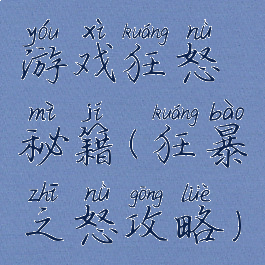 游戏狂怒秘籍(狂暴之怒攻略)