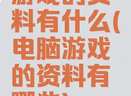 游戏的资料有什么(电脑游戏的资料有哪些)