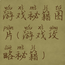 游戏秘籍图片(游戏攻略秘籍)