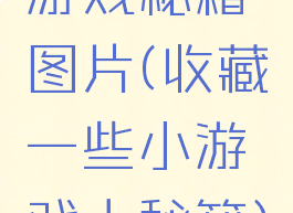 游戏秘籍图片(收藏一些小游戏大秘籍)