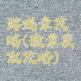 游戏章攻略(徽章获取攻略)