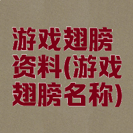 游戏翅膀资料(游戏翅膀名称)