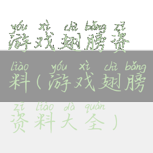 游戏翅膀资料(游戏翅膀资料大全)