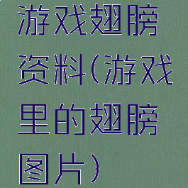游戏翅膀资料(游戏里的翅膀图片)