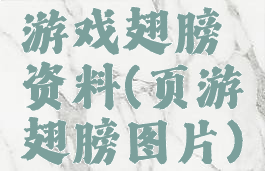 游戏翅膀资料(页游翅膀图片)