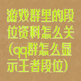 游戏群里的段位资料怎么关(qq群怎么显示王者段位)